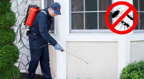 Taşkent Böcek İlaçlama böcek ilaçlama ve haşere kontrolü — ilaclama-tr.com